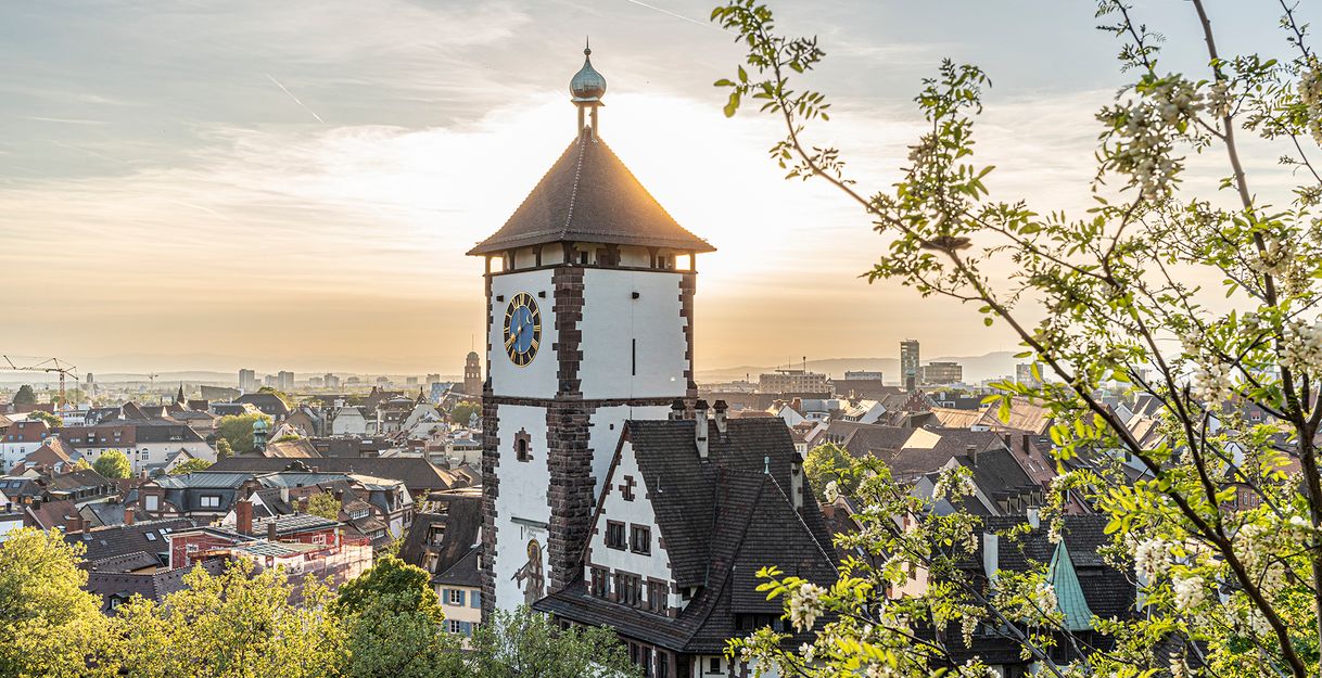 Schwabentor-Blick vom Schlossberg