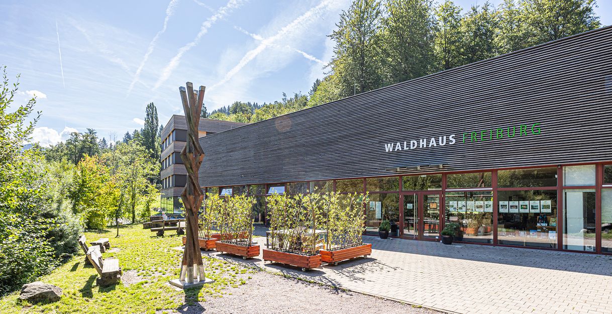 Gebäude des Waldhaus mit begrünter Außenanlage 