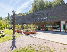 Gebäude des Waldhaus mit begrünter Außenanlage 